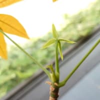 あれから9年　早いっすね～