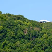 2025.06.19(木)AM06:10の藻岩山・平和祈念塔・手稲山・三角山・円山