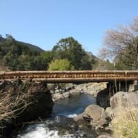 臥龍梅最中（藤川天神・薩摩川内市）