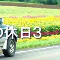 読書のエトセトラ３　密かな増量と減量
