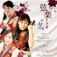弦楽器の音色
