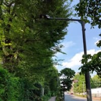 プチプチアニメ すなあそび 掲示板といっしょ プチプチアニメ すなあそび 掲示板といっしょ