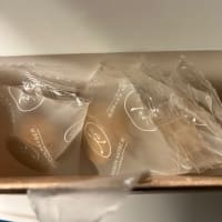期間限定！新幹線で食べられる新幹線スイーツ