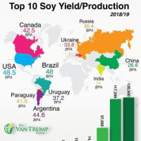 世界の大豆単収比較と生産量