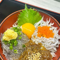 朝どれ生しらす入荷しました！「湘南しらすの小田原三色丼」がおすすめです！