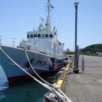 御前崎港　停泊中の釣り船と海上保安庁・ふじ号