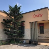 札幌Ceddy　４