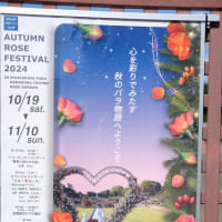 秋のバラ園祭り（前橋市敷島公園）　２０２４・１０・１６