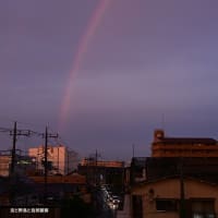 【日没間際の虹】