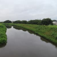 行ってきます