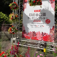 もうすぐはじまる東京国際映画祭