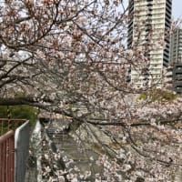 友のお宅でPCのレッスン