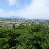 紫陽花公園とオオミズアオと、宮崎県新陸上競技場を訪ねる。