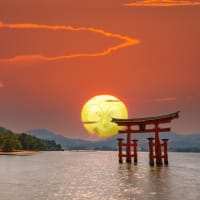 大変　お疲れ様でした