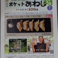 「ポケットあわじ」の配布とジムでの13km・・・