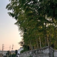 7/2(水)〜楽山園&小幡・城下町〜