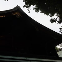 【京都幕間旅情】岡崎神社,高倉天皇の時代うさぎの神社の安産多産の御利益と後醍醐天皇時代の再建