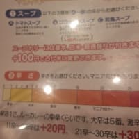 スープカリーNeco「チキンカリー」(行田市)