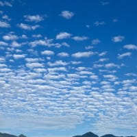 今日までの私へ