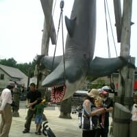 ＵＳＪに行きましたｗ