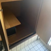 新しい発見