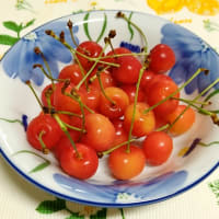 過去記事を連れて行こうかな　はてなブログに