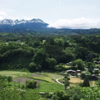 初夏を彩って