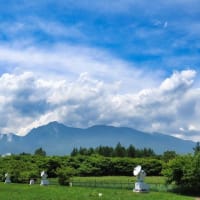 国立天文台　野辺山宇宙電波観測所　コナン 隻眼の残像
