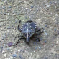 暖かくなってきましたね