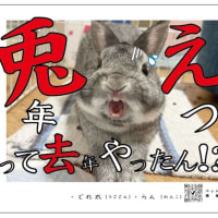 どれ太主役の年賀状
