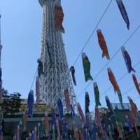 ホームページ作成中　3