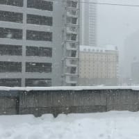 日帰り北海道！（3回目）