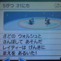 ２０２５年５月３１日、二匹のドジョッチが散歩で遊ぶ