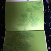 絵本