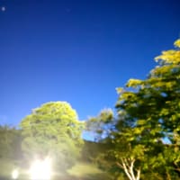 奥志賀１