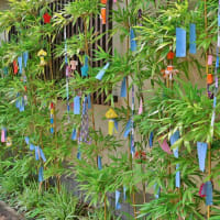 改修工事完了ですっきり！・・・けいはんな記念公園観月橋