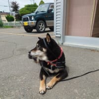 休日の過ごし方