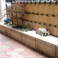 江戸川区・花壇コンクール　その３・名月＆ミニ庭園