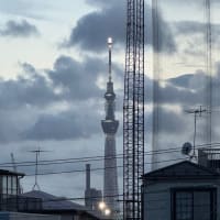 2025/7/14の夕焼け