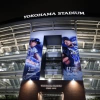 2025年6月1日 東京競馬場へ ダービー観戦 ついでに横浜大桟橋へ