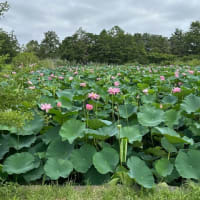 ツールド草加に久しぶりに参加