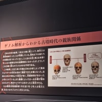 博物館浴（国立科学博物館「古代DNA　ー日本人のきた道ー」）