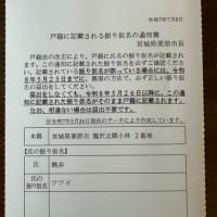 こんなの来ました