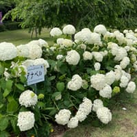 先週の出来事