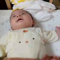 孫ちゃんと