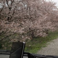 暫く沈黙が続きそうです。