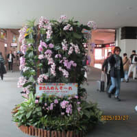 沖縄4日目（最終日）