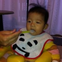 こはくちゃま離乳食はじまりはじまりヾ(＠⌒ー⌒＠)ノ
