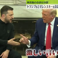 ロシアのプーチン大統領も親露派のアメリカのトランプ大統領もトルコでのウクライナ戦争の停戦協議に現れず。やはりウクライナ戦争の停戦を妨害しているのは侵略国であるロシアのプーチン大統領だ（当たり前）。