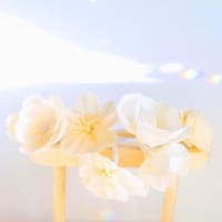 ＳＯＬＡ ＦＬＯＷＥＲ